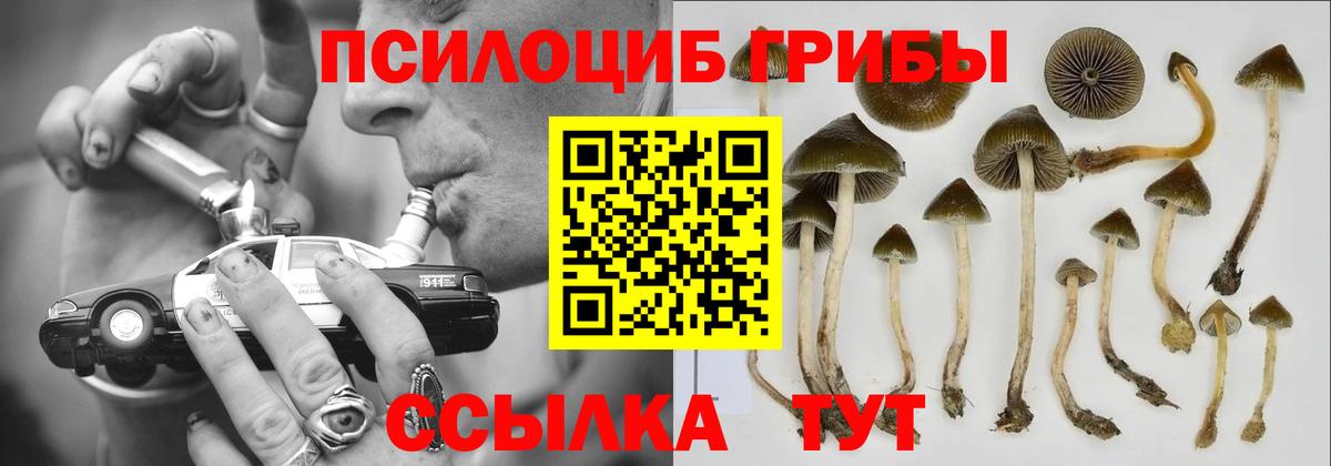Галлюциногенные грибы Magic Shrooms Урай